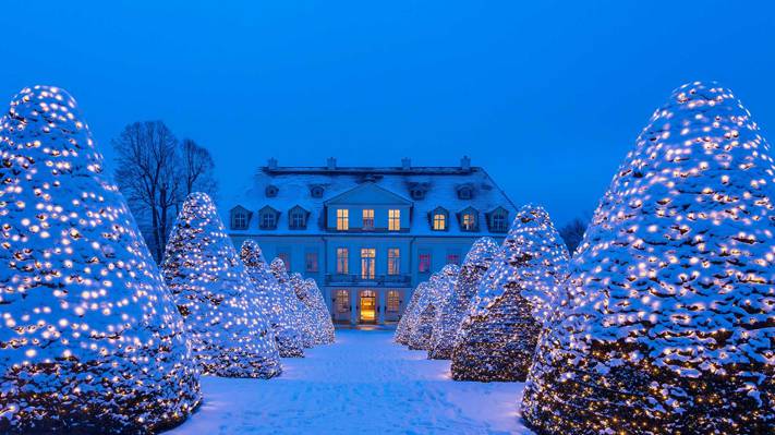 雪,冬天,德国,灯,萨克森,装饰,圣诞节,楼梯底部,城堡Wackerbarth,Radebeul