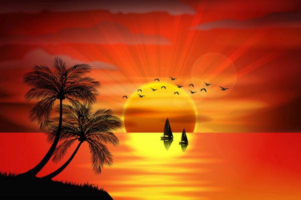 棕榈树,天堂,岛,岛,矢量,棕榈树,海,海,鸟,夕阳,剪影,热带,日落