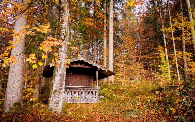 壁纸德国,树木,树叶,房子,黄色,拜仁,格赖瑙,秋天,森林
