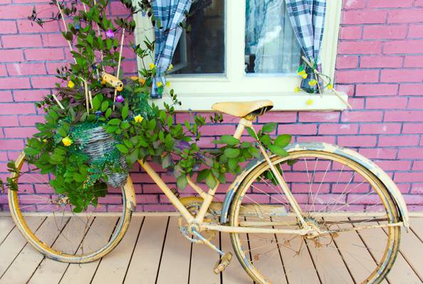 黄色的植物锅自行车架近砖砌的紫色结构高清壁纸