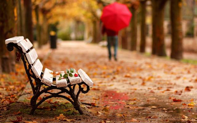 公园,护理,板凳,伞,花,玫瑰,人,再见,Adios,秋天