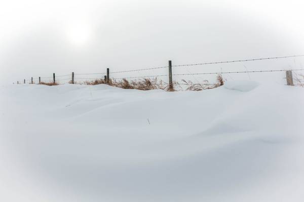自然,雪,冬天,围墙,极简主义