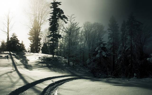 壁纸黑与白,雪,冬天,雾,太阳,树木,痕迹