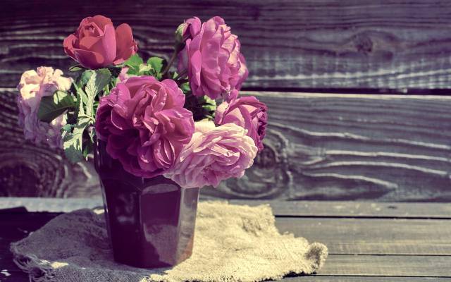 壁纸粉红色,鲜花,木材,粉红色,美丽,玫瑰