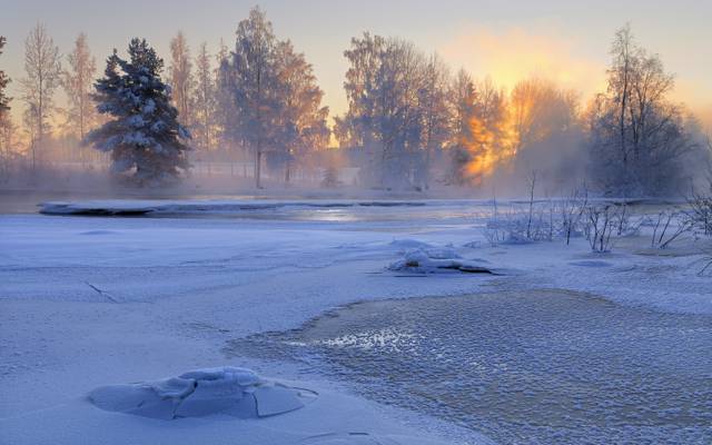 早上,雪,自然,冬天,Hälsingland,树木,瑞典,Voxnan河,瑞典,日出,河