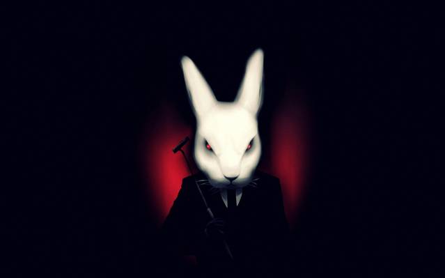 黑暗的背景,不适合,艺术,兔子,白色,服装
