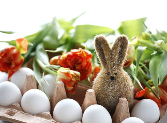 鸡蛋,野兔,鲜花,复活节