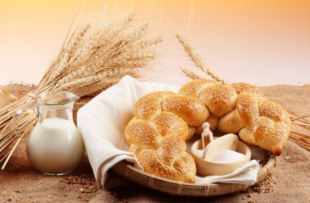 粮食,面粉,牛奶,芝麻,面包,卡拉奇,小麦,投手,耳朵