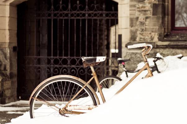 自行车,建筑物,雪,冬天,门,城市