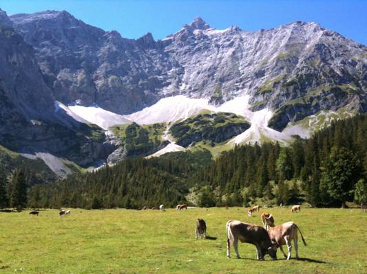 风景草原山附近的照片,蒂罗尔州,scharnitz,achensee,奥地利高清壁纸
