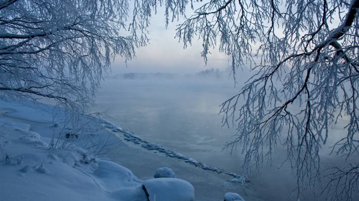 阴霾,雪,冰,冬天,树木,河流