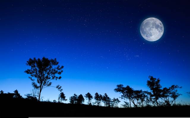壁纸月亮,夜晚,天空,树木,星星,剪影