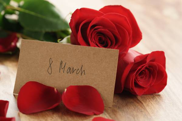 红玫瑰,玫瑰,花瓣,3月8日,浪漫,礼物,花束,红色