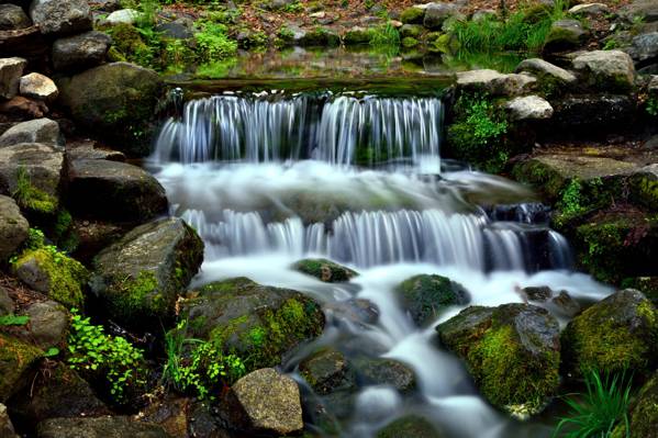 瀑布照片,蕨类植物,优胜美地国家公园高清壁纸