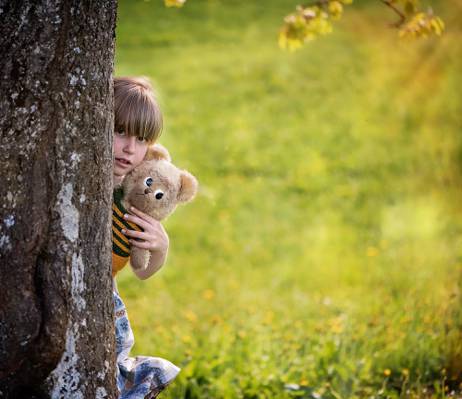 女孩抱着泰迪熊藏在棕色和白色的树干高清壁纸