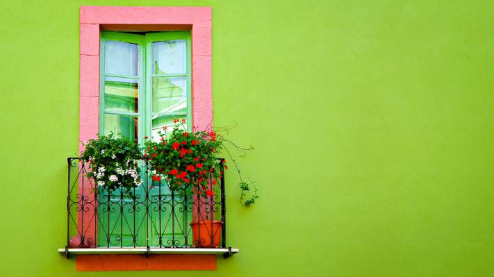 花,门,绿色,阳台,墙壁