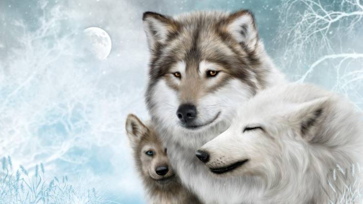 狼,狼,包,狼,家庭,月亮,月亮,狼,白,背景,雪,雪,家庭
