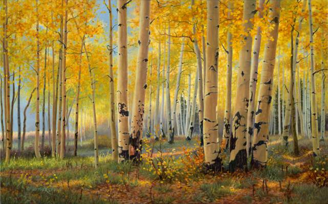 凯·威瑟斯彭,金柱,艺术,绘画,金色的秋天,树林,秋天,森林,桦木
