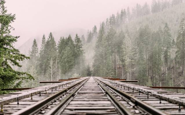 森林附近的灰色火车架覆盖着雾高清壁纸