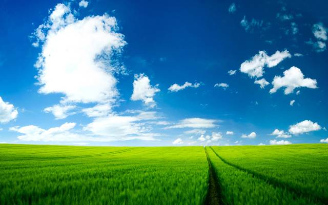 在多云天空下的绿色领域的风景照片HD墙纸