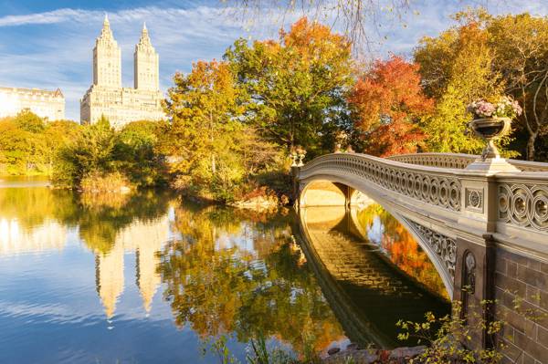 中央公园,湖,桥,纽约,秋天,美国