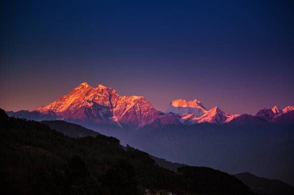 喜马拉雅山,尼泊尔,傍晚,天空,高山,蓝色,树木