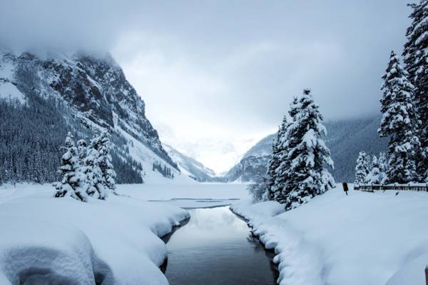 雪与树之间的河流摄影,湖路易丝高清壁纸