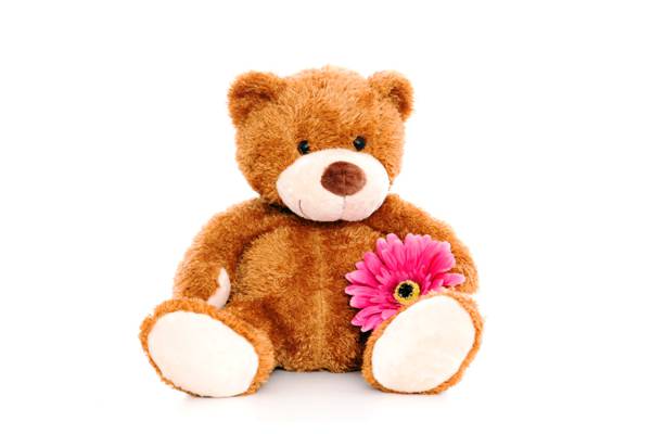 玩具,泰迪,花卉,毛绒,熊,玩具,可爱,熊