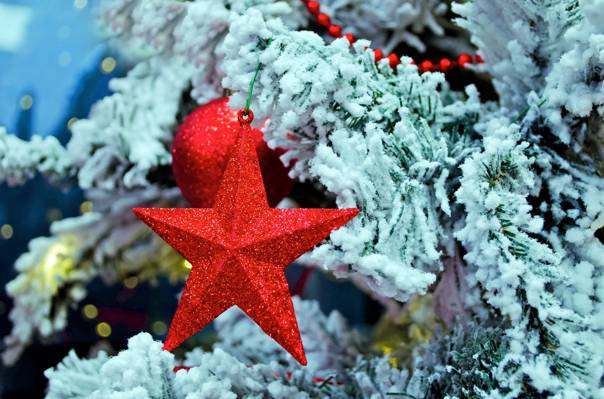 圣诞节,玩具,新年,云杉,雪,冬季,红色,圣诞节,树,圣诞节,明星,分支机构