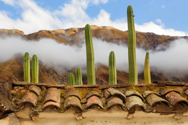 瓷砖,仙人掌,Ollantaytambo,山,云,屋顶,秘鲁