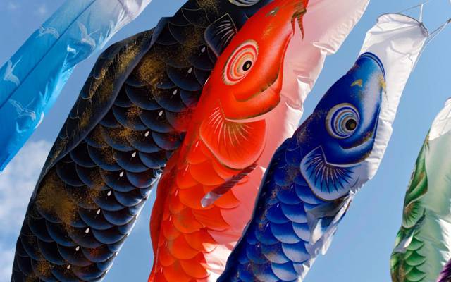 鲤鱼,油漆,假日,灯笼,日本