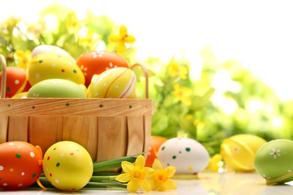 壁纸花,表,假期,橙色,复活节,鸡蛋,复活节,水仙花,复活节,黄色,篮子,绿色,春天