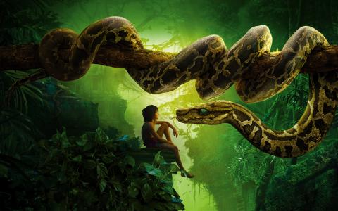 密林书蛇Kaa Mowgli