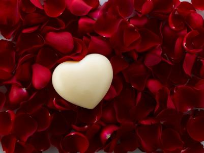 爱的心,玫瑰花瓣,4 k