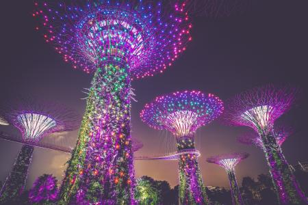 滨海湾花园,照明,灯光,当代,滨海湾,新加坡,4K