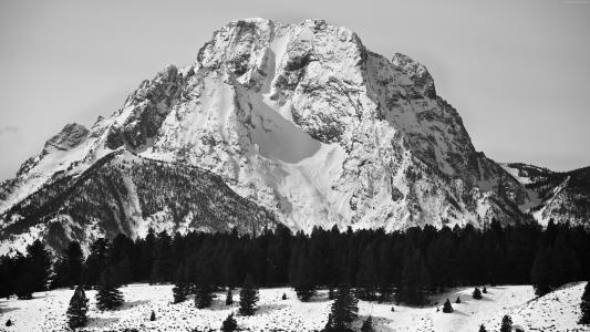 莫兰山,5k,4k壁纸,美国,山,松树,雪（水平）