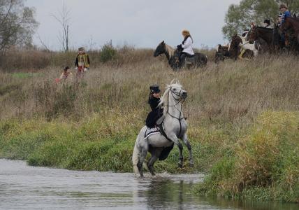 模仿，复古，狩猎，骑手，秋季，马，河