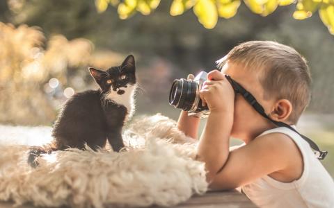 年轻，摄影师，小猫，照片拍摄