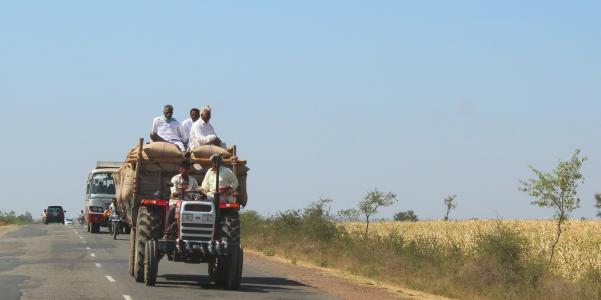 印度，道路，拖拉机，货物，袋，农民，领域，玉米