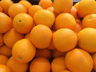 橙色, 加利福尼亚生产, 水果, 堆积, 蔬菜, 西有限公司, 生活