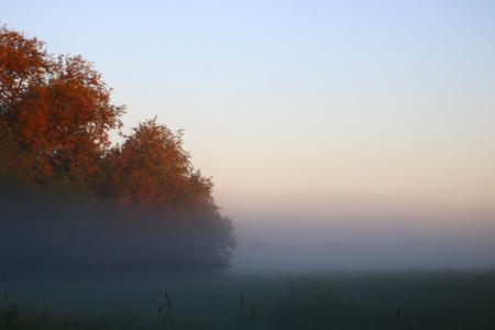 morgenstimmung, 雾, 日出, 自然, 心情, 晨雾, 雾银行