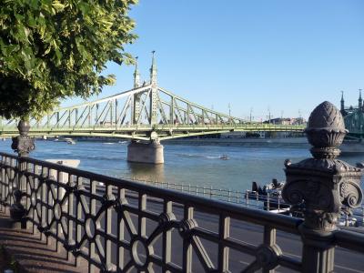 布达佩斯, 桥梁, 多瑙河, 资本, 建筑, 光, 自由桥梁