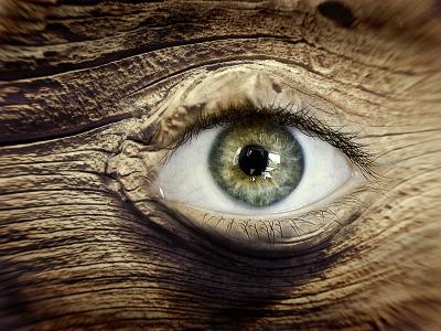 眼睛, 木材, 节骨眼, 木眼, 棕色, 木结构, 手表