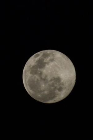 月亮, 满月, 晚上