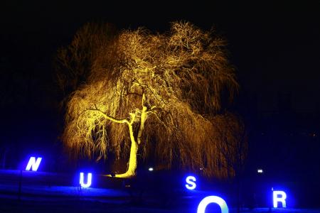 西华里亚公园, 冬季灯2013, 晚上张照片