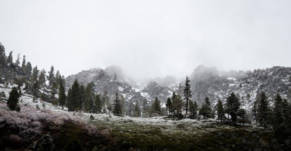 景观, 照片, 雪, 填充, 森林, 附近的, 山脉