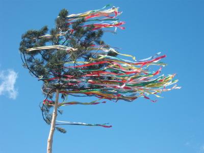 五朔节花柱, 庆祝活动, 树, 五月, 假日, 装饰, 节日