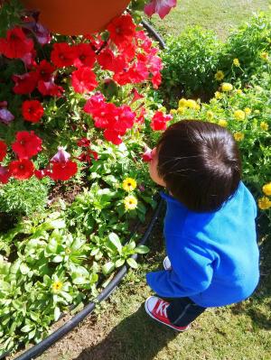 花, 男孩, 公园, 孩子, 自然, 快乐, 儿童