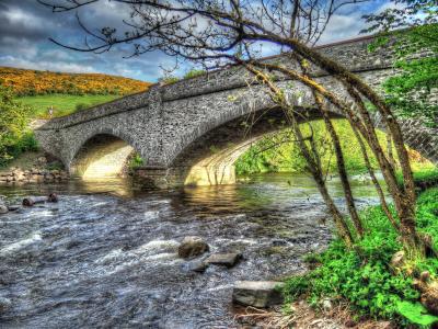 桥梁, 河, 快速流水, 桥-男人作结构, 自然, 树, 水
