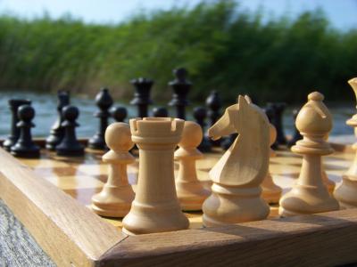 象棋, 棋子, 基本立场, 斯汤顿, 国际象棋棋子, 国际象棋棋盘, 战略